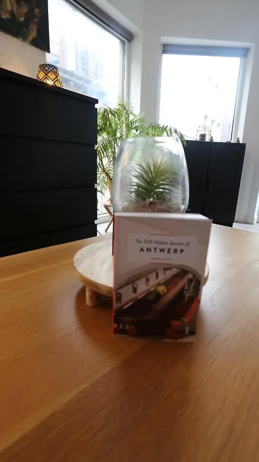 Studio 200 Meters From Central Station Apartment Antwerp 0*,  Belgium